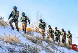 关于皖南雪豹队鏖战中原暴熊队，摩托车赛半决赛守住胜果，替补奇兵立功。韧性比赛的样板的信息-九游游戏大全